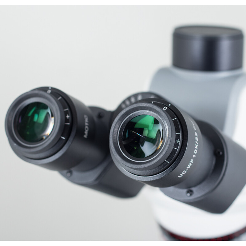 Motic Microscopio Panthera C2 Trinocular, infinity, plan, achro, 40x-1000x, 10x/22mm, Halogen/LED