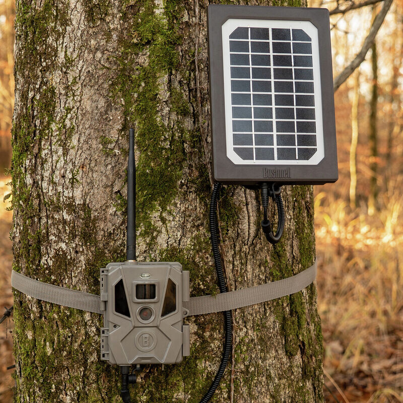 Bushnell Panel solar Tan Universal, caja