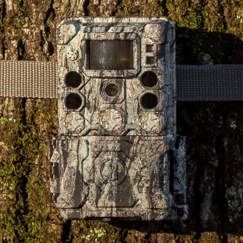 Bushnell Cámara de caza 30MP CORE 4KS Tree Bark Camo No Glow, Caja 5L