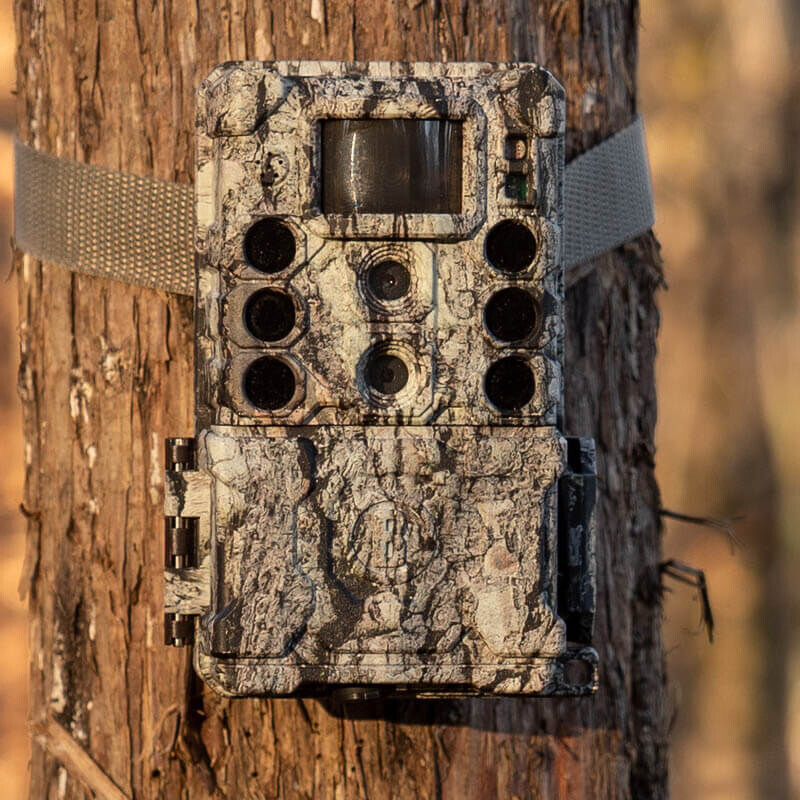 Bushnell Cámara de caza 32MP CORE DS4K Tree Bark Camo No Glow, Caja 5L
