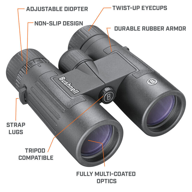 Bushnell Binoculares Legend 8x42 Pentagonal, negro, FMC