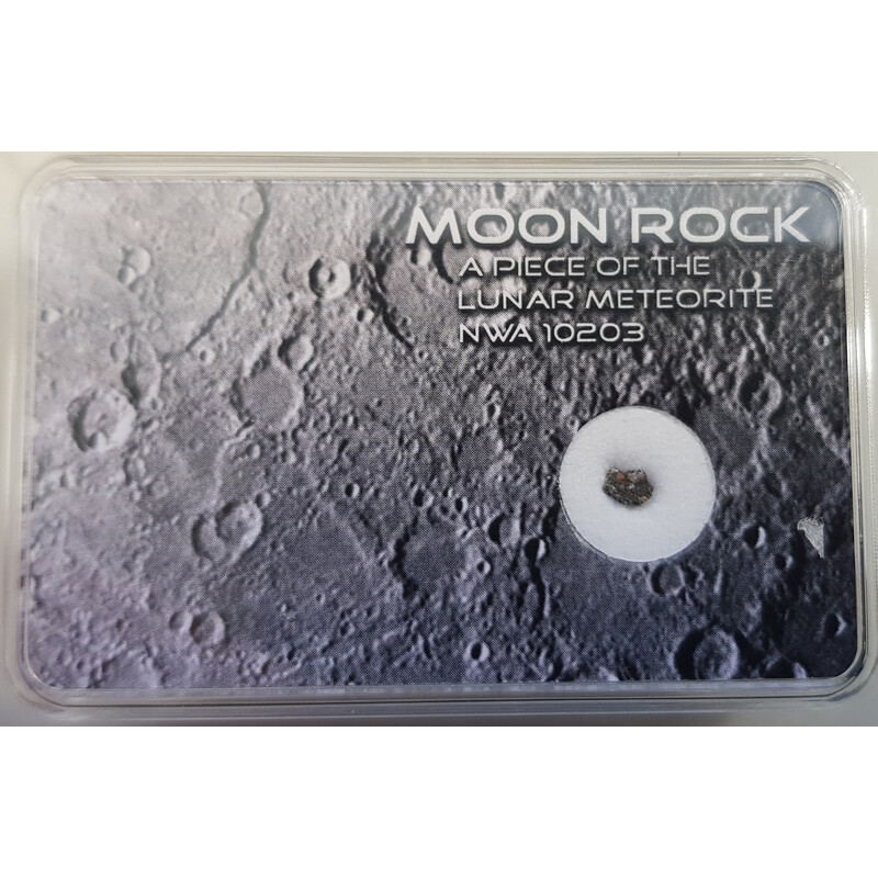 SR-Meteorites Meteorito lunar auténtico NWA10203