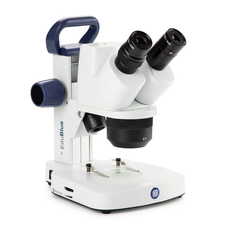 Euromex Microscopio ED.1405-S, Stereo, Digital, 5 MP, 20x/40x, LED