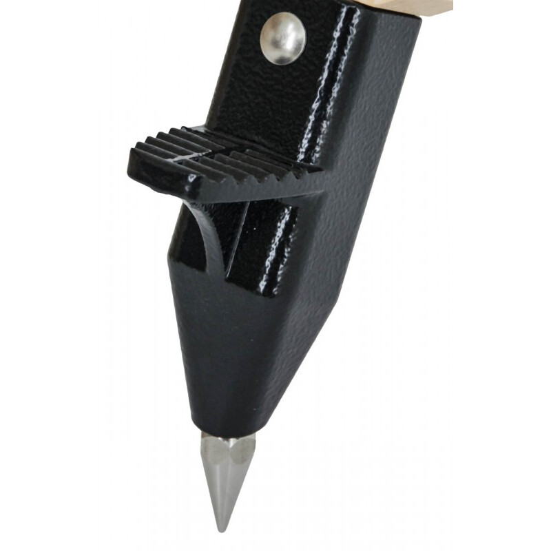 Berlebach Trípode Uni 18 ZWO AM5 con placa base