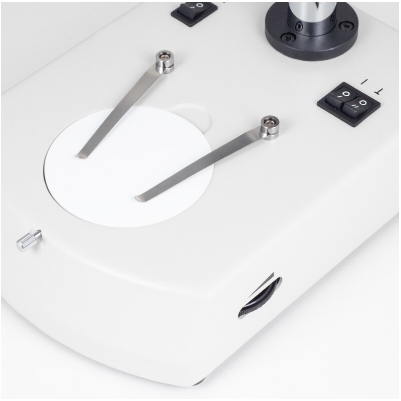 Motic Microscopio estereo SFC-11C-N2LED