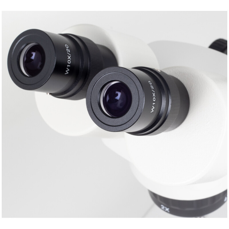 Motic Microscopio estereo SFC-11C-N2LED