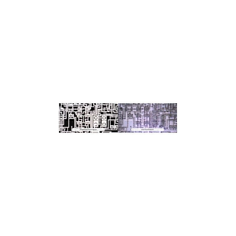 Dino-Lite Microscopio AM73515MT8A, 5 MP, 700-900x, 8 LED, 45/20 fps, USB 3.0