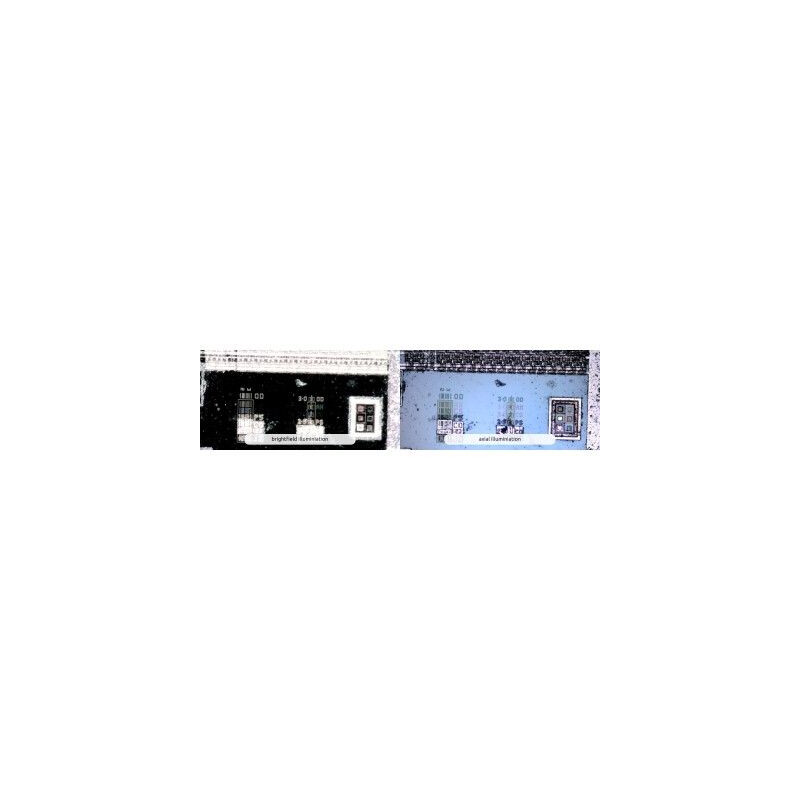 Dino-Lite Microscopio AM73515MT8A, 5 MP, 700-900x, 8 LED, 45/20 fps, USB 3.0