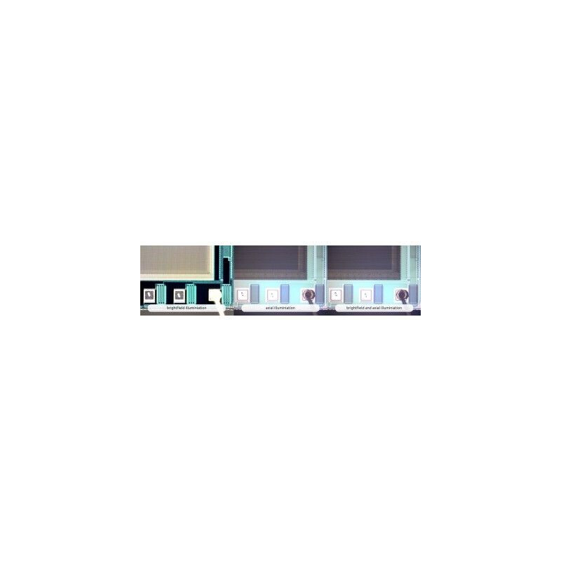 Dino-Lite Microscopio AM73515MT8A, 5 MP, 700-900x, 8 LED, 45/20 fps, USB 3.0