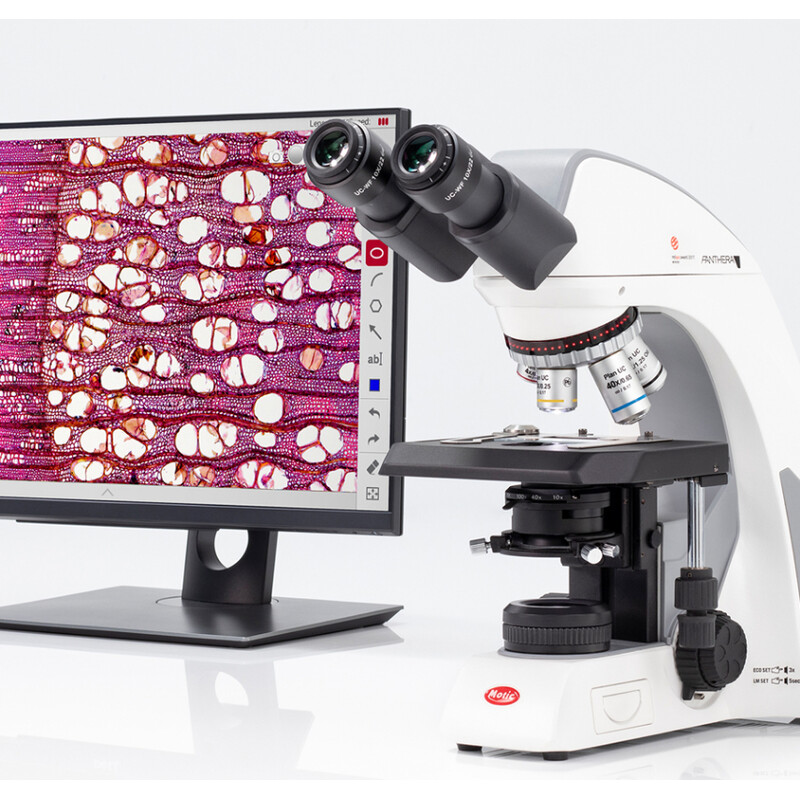 Motic Microscopios Panthera cloud, bino, digital, infinity, plan, achro, 40x-1000x, 10x/22mm, Halogen/LED, HDMI, 8MP
