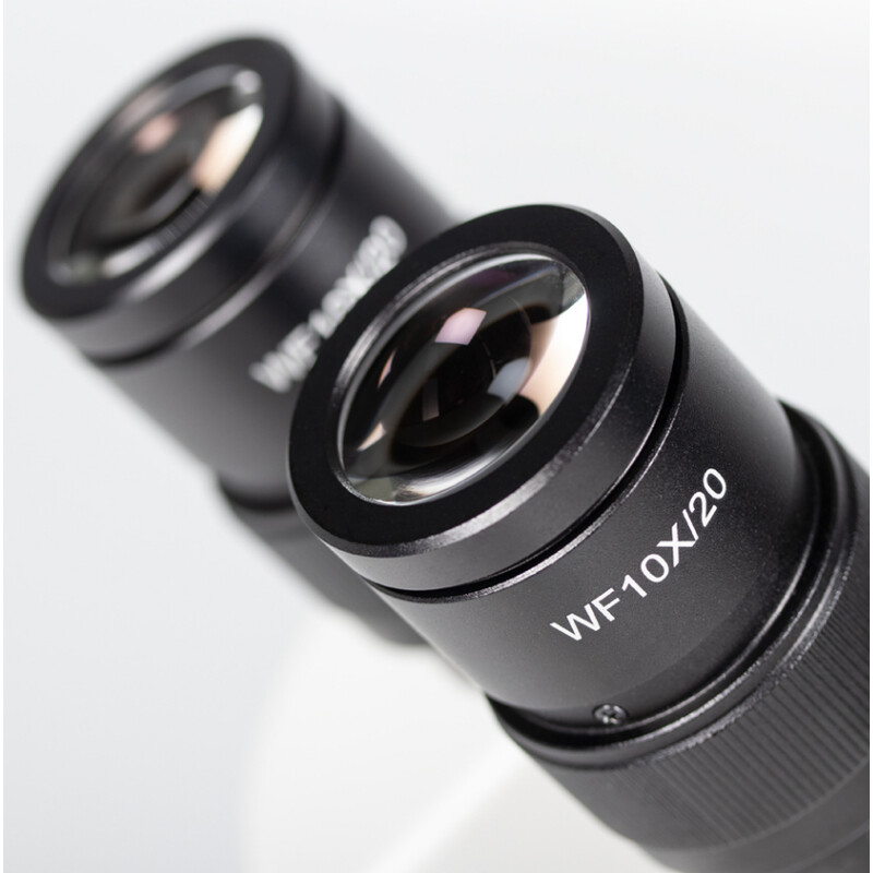 Motic Microscopio Stereo Zoom SMZ-160-TP, 0,75x-4,5x