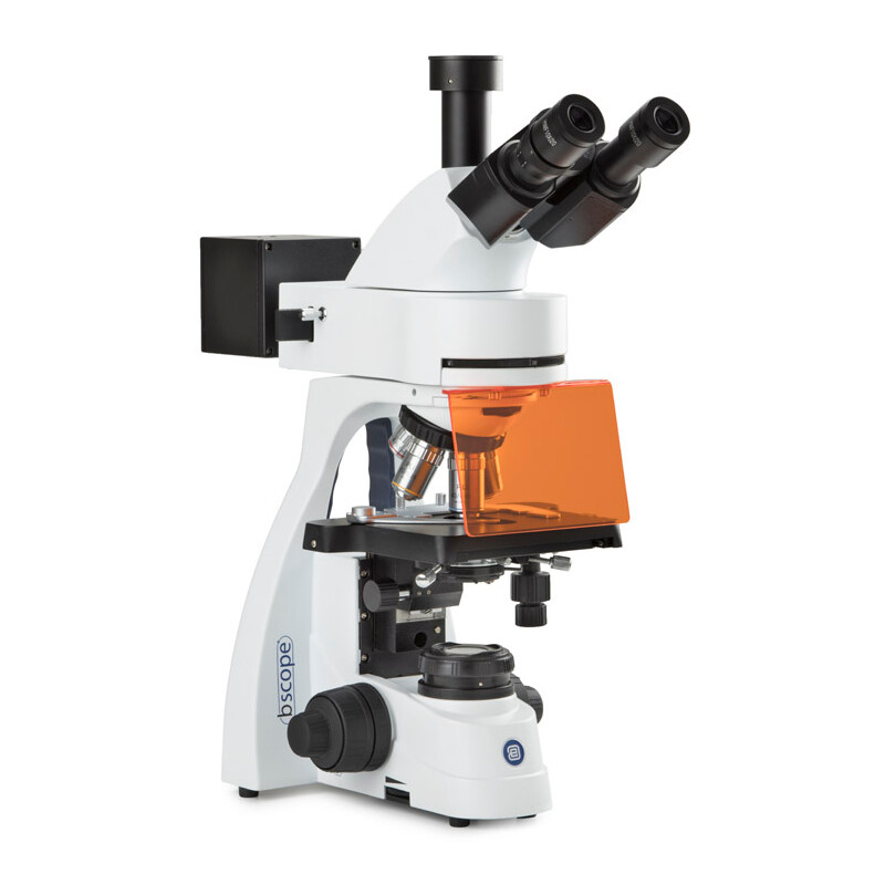 Citologia 12 - microscopio 