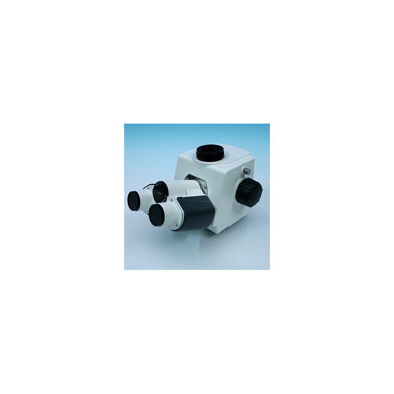 ZEISS Tubo fotográfico ergonómico binocular 20°/23 (100:0/0:100), imagen invertida