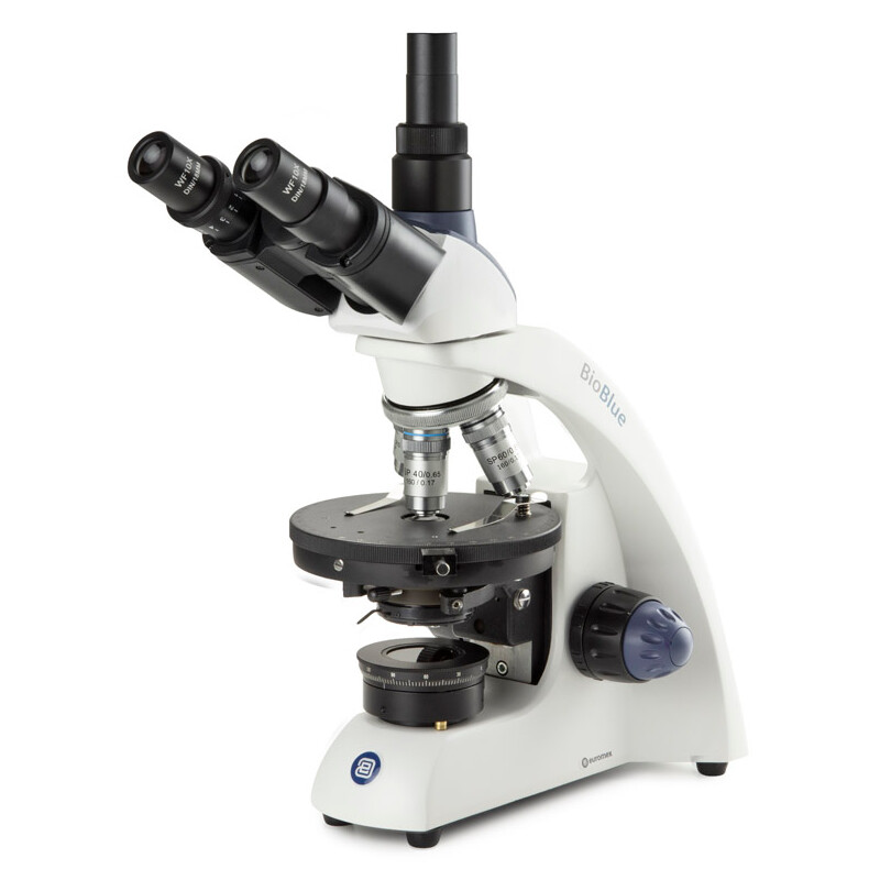 Euromex Microscopio BioBlue, BB.4243-P-HLED, trino, polarización, DIN, 40x-600x, 10x/18, LED, 1W