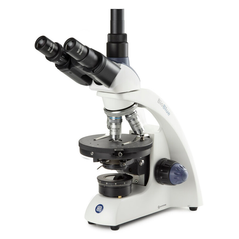 Euromex Microscopio Mikroskop BioBlue, BB.4243-P-HLED,trino, Pol, DIN, 40x-600x, 10x/18, LED, 1W