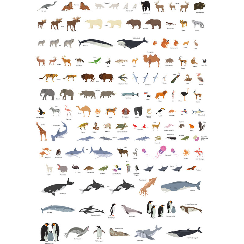 GeoMetro Mapas infantiles Die Welt der Tiere (84 x 60 cm)