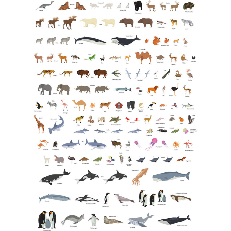 GeoMetro Mapas infantiles El mundo de los animales (84 x 60 cm)