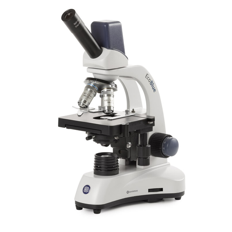 Euromex Microscopio EC.1155, mono, digital, 40x-1000x, DL, LED, 10x/18 mm, Mesa en cruz X-Y, 5 MP