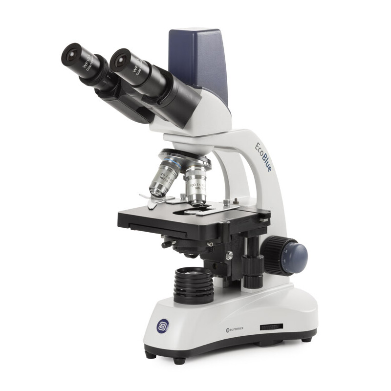 Euromex Microscopio EC.1157, binocular, digital, 40x-1000x, DL, LED, 10x/18 mm, mesa en cruz X-Y, 5 MP