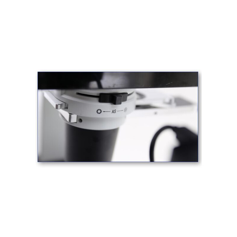 Optika Microscopio IM-300D, digital, PH, 100-400x, IOS LWD W-PLAN PH, N.A. 0,3, X-LED, 6 MP, 15,6" 4K