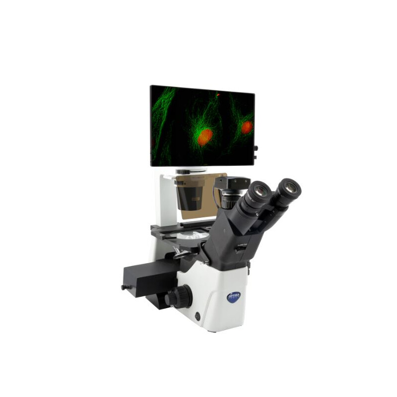 Microscopio invertido IM-300LD4D Digital Inverted LED fluorescence microscope, 400x, IOS LWD PLAN F, 4 empty filterset slots