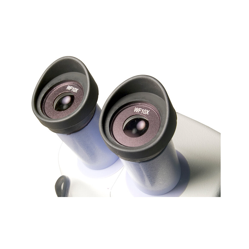 Levenhuk Microscopio estereo 5ST 20-40x LED