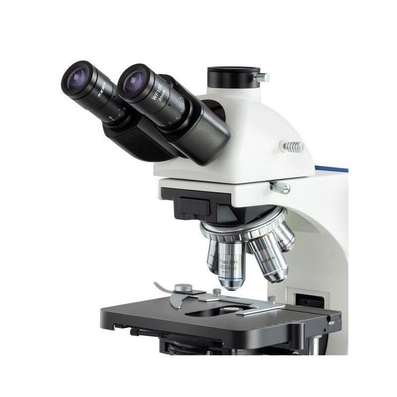Kern Microscopio OBN 159, PH, Condensador Abbe 1,25, infinity, plano, 4x-100x, Dl, 3W LED