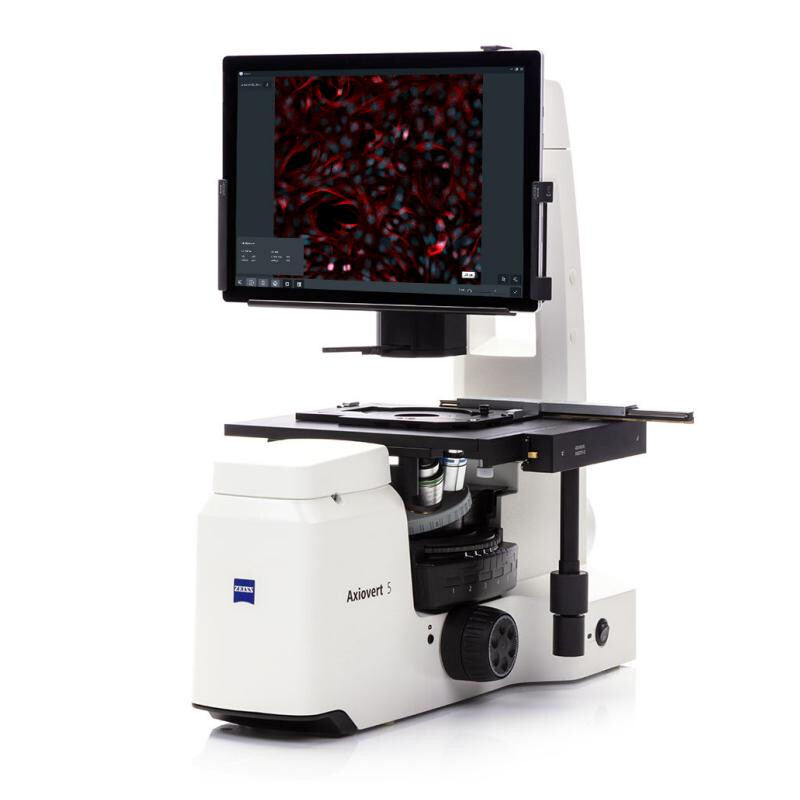 ZEISS Microscopio Axiovert 5 Digital, PH, FL, 50-400x, Ph1, 0,4 NA, LED, 5 MP, color
