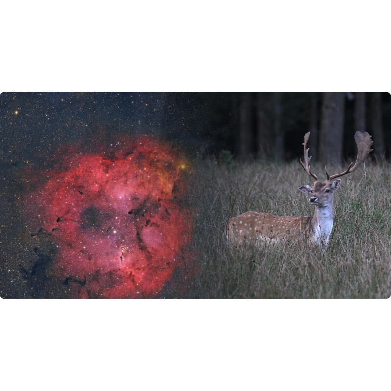 ToupTek Refractor apocromático HOPE D60 60/280 f/4.66