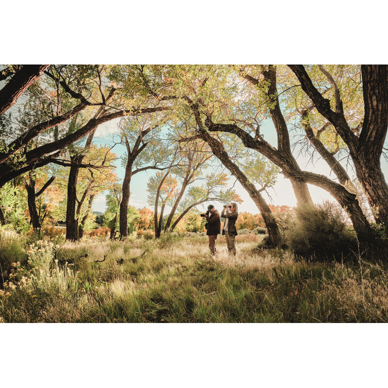 Swarovski Catalejo AT Balance 18-45x65