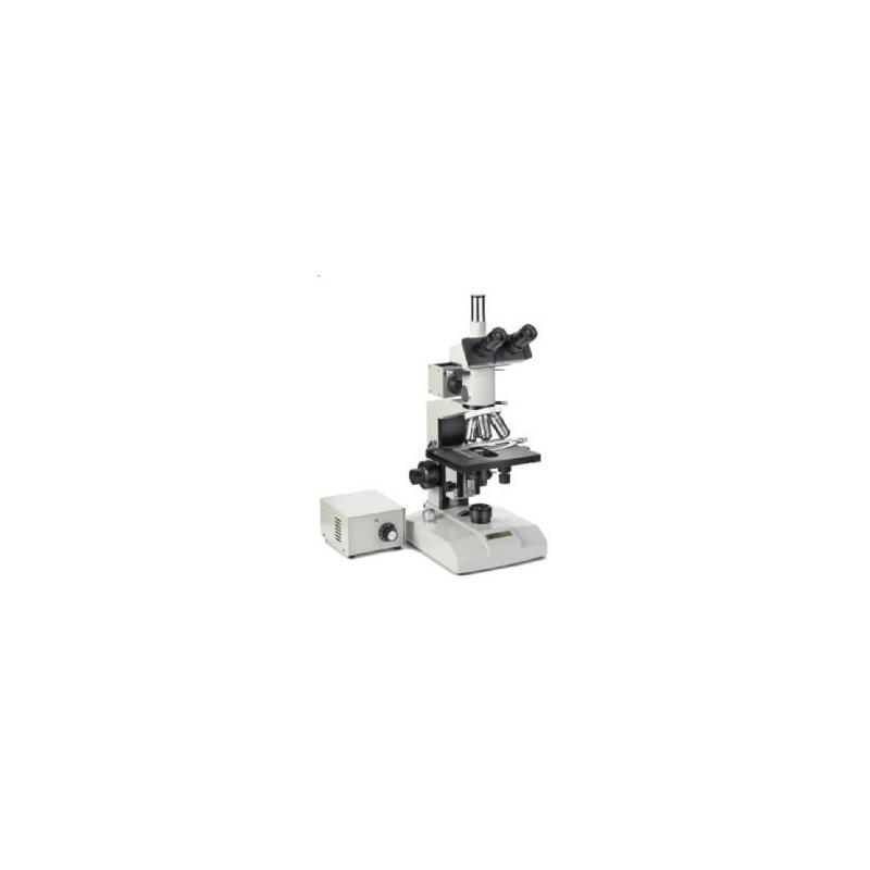 Euromex Microscopio ME 2665 Metalurgia