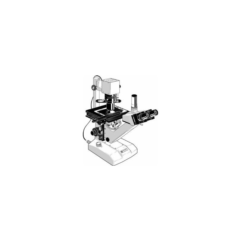 Euromex Microscopio FE.2955, inverso
