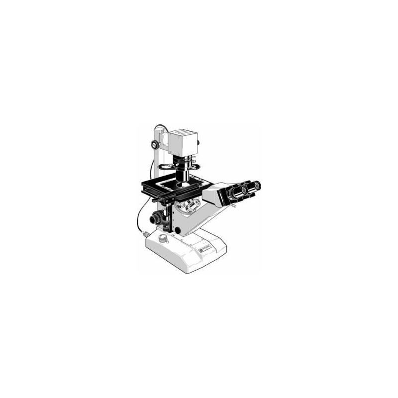 Euromex Microscopio FE.2950, inverso