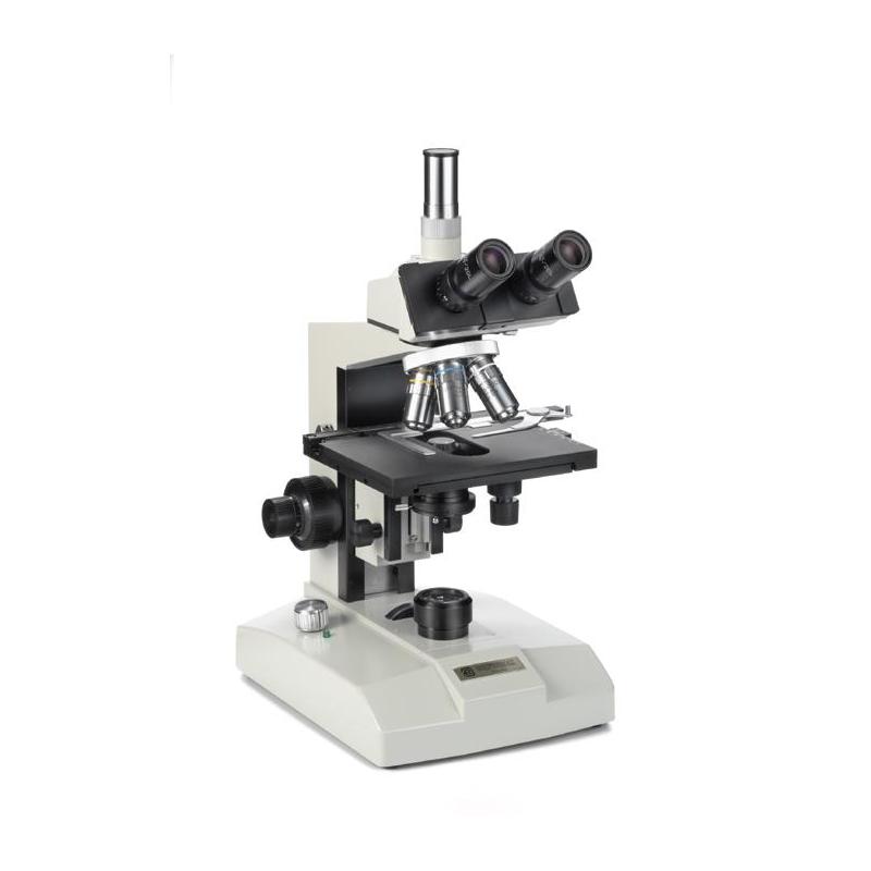 Euromex Microscopio FE.2545 con calefacción