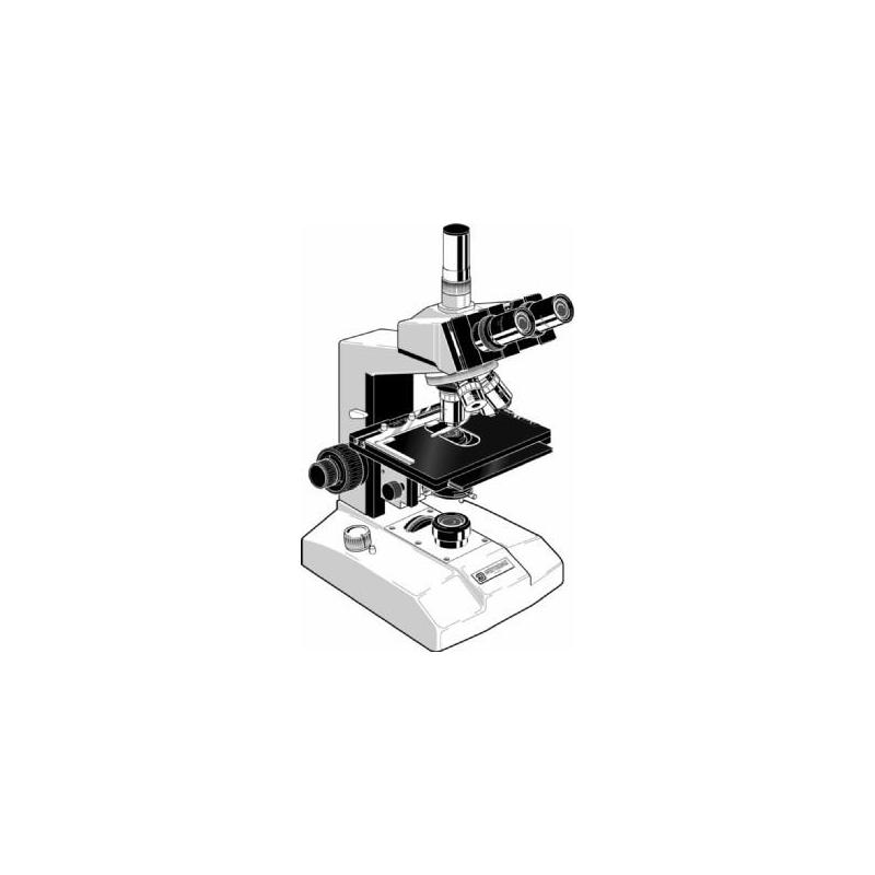 Euromex Microscopio FE.2035