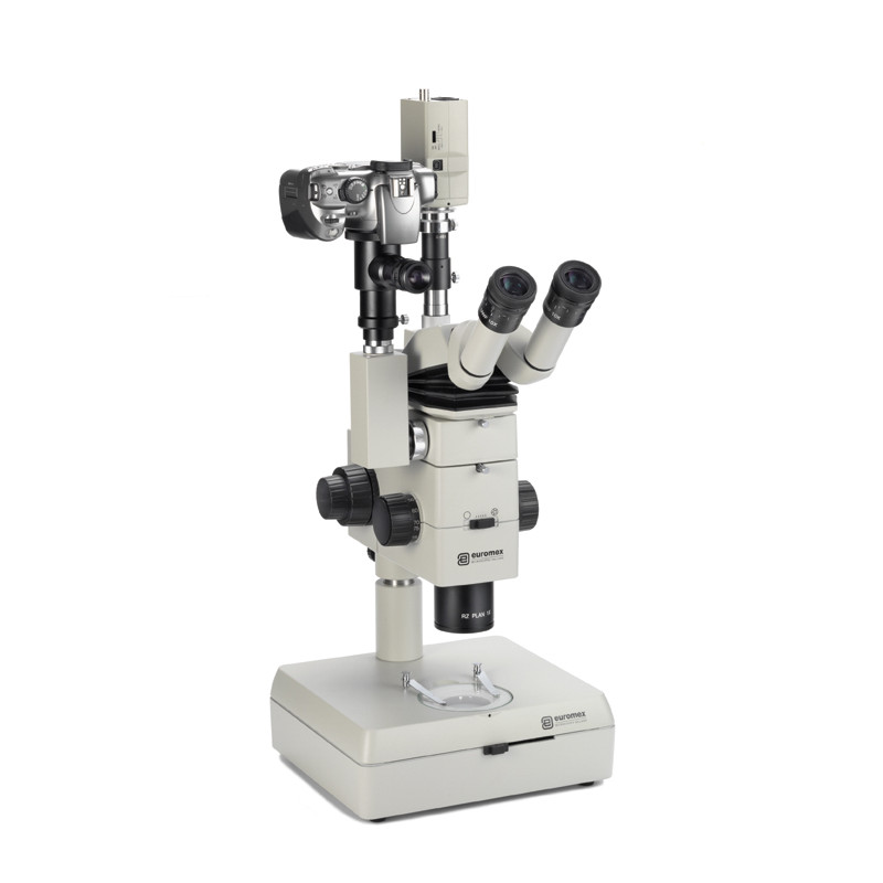 Euromex   Soporte para campo clara - campo oscuro